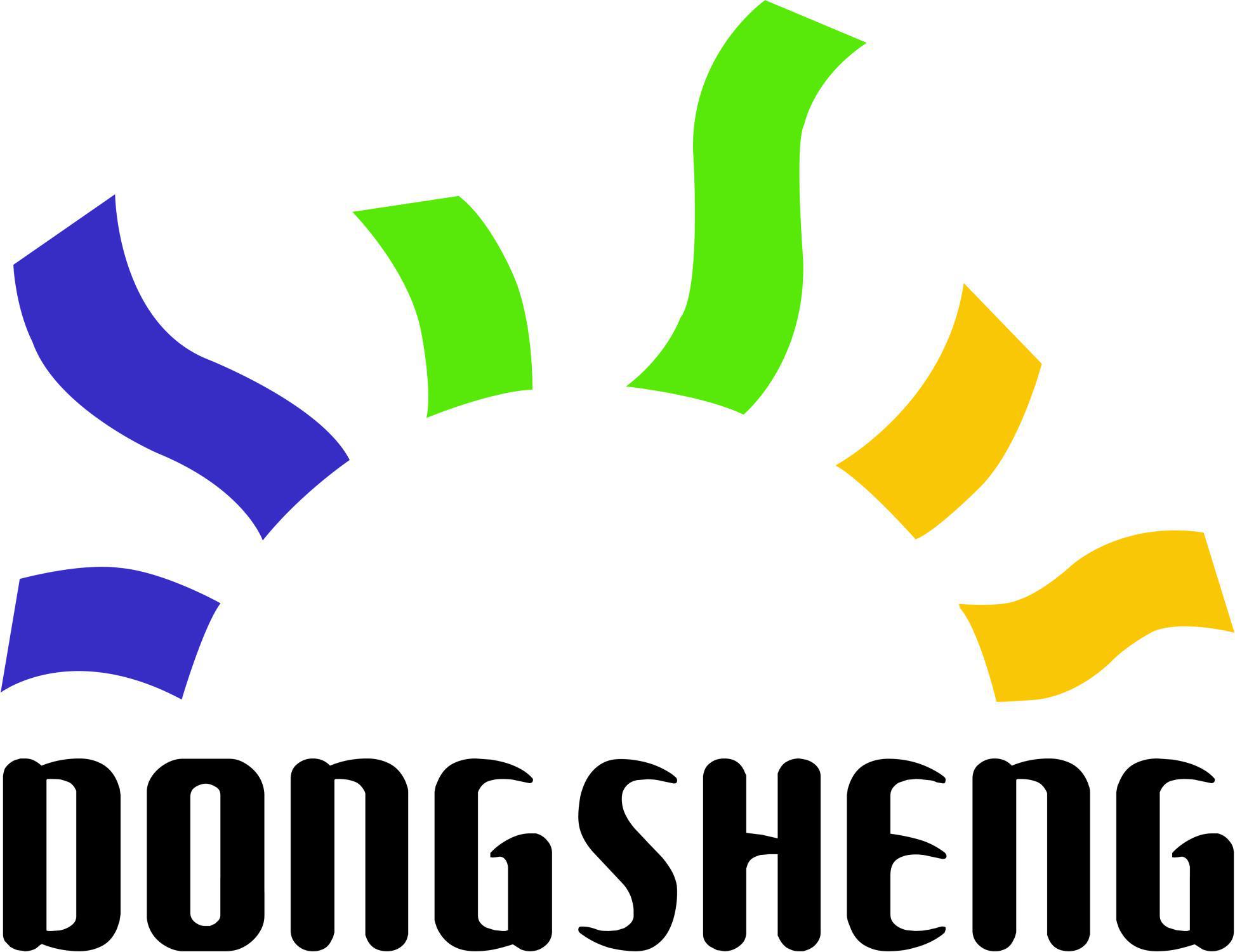 东升地毯集团有限公司